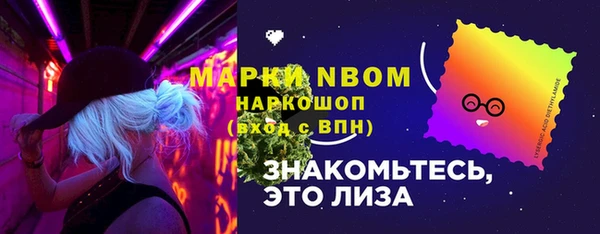 молекула духа Бородино