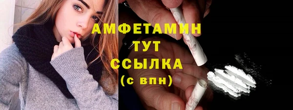 ПСИЛОЦИБИНОВЫЕ ГРИБЫ Горняк