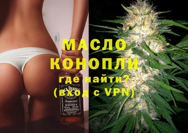 молекула духа Бородино
