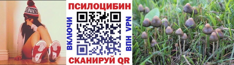 Псилоцибиновые грибы прущие грибы Верхоянск