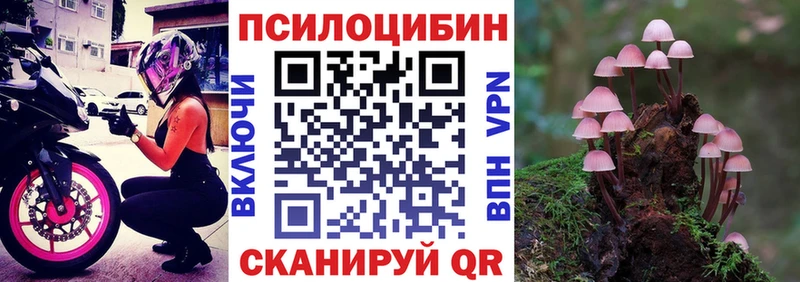 Псилоцибиновые грибы Psilocybe  Верхоянск 